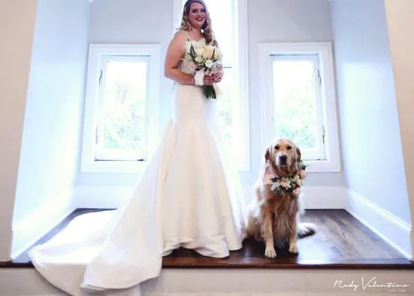 Las bodas con perro son extra felices, espontáneas y divertidas: son ¡más GUAU! 
