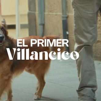 Para concienciar sobre la importancia de proteger a los perros …