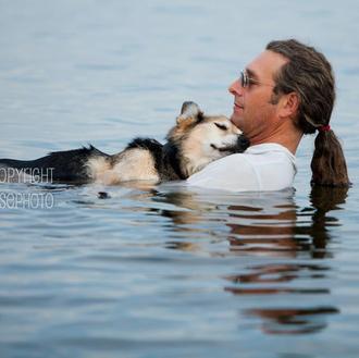 Schoep, el perro cuya foto en el lago conmovió a …