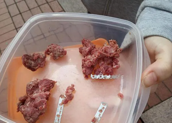 La Policía de Logroño pide máxima prudencia tras encontrar carne picada con cuchillas y salchichas con veneno