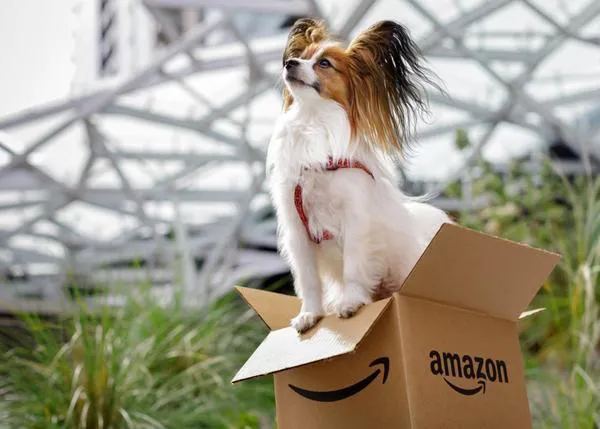 Las empresas más dog friendly de EEUU: Amazon, Uber, Airbnb... ¡y muchas más!