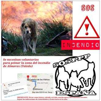 Desalojados los perros de APA San Bernardo por el incendio …