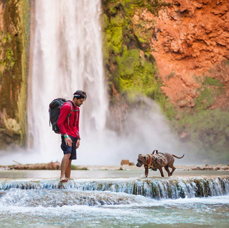 Las épicas aventuras en la naturaleza de una pit bull …