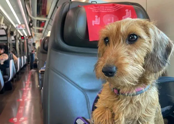 Viajar con perro en tren en Italia, ¿cuáles son las normas?