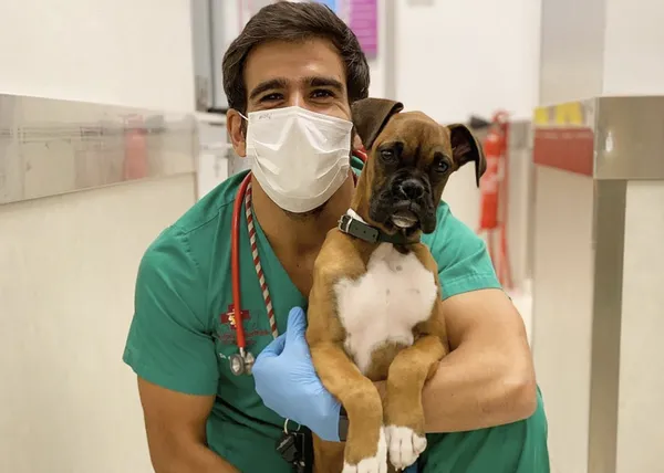 Las aventuras de un veterinario en tiempos de coronavirus: cachorrotes díscolos y muchos besos