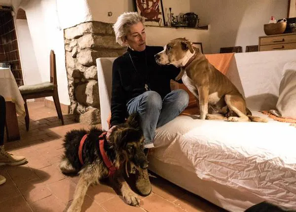 Proyecte Empathia, un santuario para canes viejitos en Tarragona, necesita nuestra ayuda