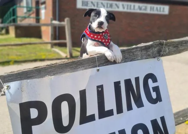 #DogsAtPollingStations, los perros que acompañan a sus humanos a votar en el Reino Unido