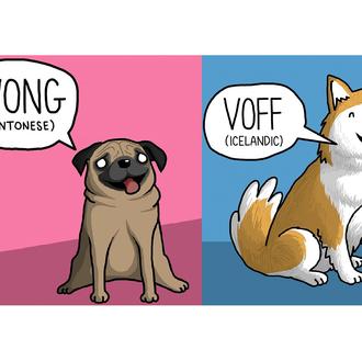Los perros -y otros animales- también hablan idiomas: las (geniales …