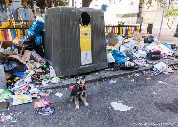 Método SrPerro para esquivar la basura que impera en Madrid