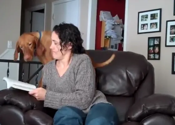 Clase de lectura con perro... o más bien lo contrario
