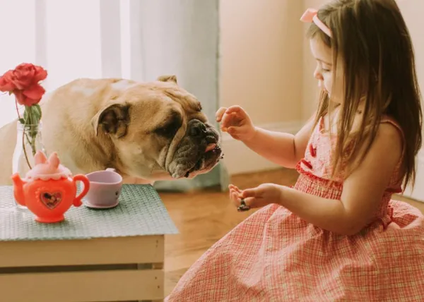 Una amistad cimentada sobre muchos lametazos: un bulldog inglés y su pequeña humana