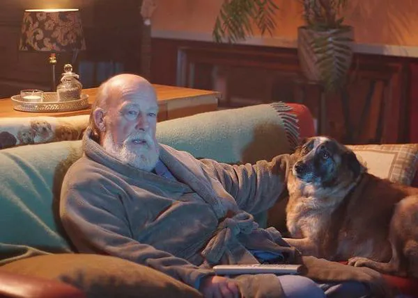 Dog and Senior Foundation: o cómo lograr que los mayores no tengan que despedirse de sus perros