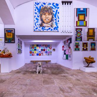 Galerías de arte donde son bienvenidos los perros en Madrid …