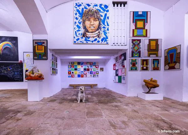 Galerías de arte donde son bienvenidos los perros en Madrid, Sevilla, Barcelona, Gijón...