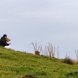 Una excesiva dependencia emocional de un perro o gato puede …