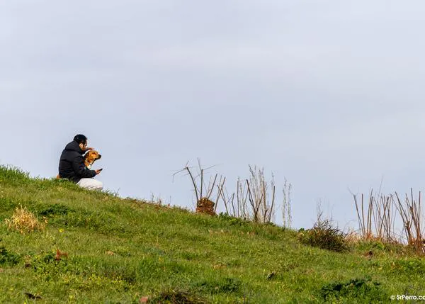 Una excesiva dependencia emocional de un perro o gato puede aumentar los síntomas de depresión en las personas