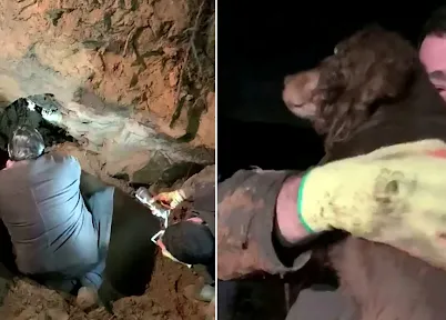 Una perra sorda milagrosamente rescatada tras pasar 30 horas dentro de una madriguera