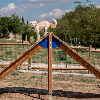 Pipicanes, parques caninos y áreas para perros con elementos de …