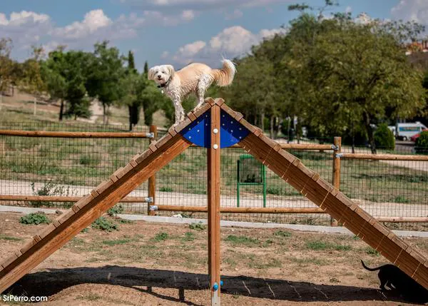 Los 8 mejores parques para perros y pipicanes de Barcelona y alrededores