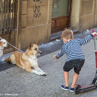 Riesgos para los niños al no saber interpretar correctamente el …