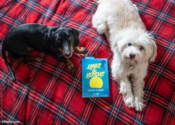 Lamer las Heridas, una novela sobre los amores perros y las heridas que los perros nos ayudan a curar