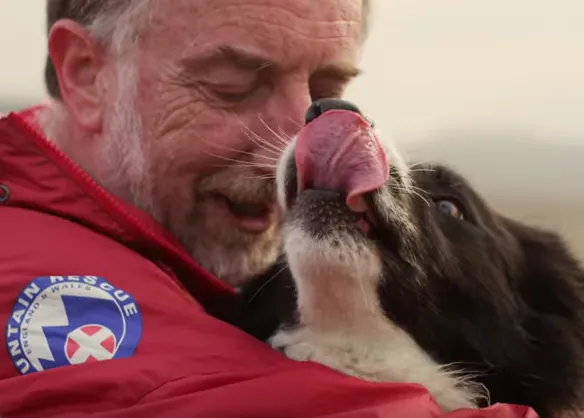 Perros de búsqueda y rescate en acción: el poderoso olfato canino al servicio de los humanos