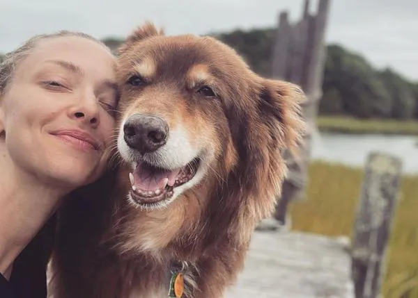 Finn, el guapérrimo perrete del alma de la actriz Amanda Seyfried, celebra su 14 cumpleaños