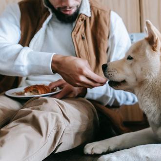 Un fuerte vínculo con un perro puede tener efectos positivos …