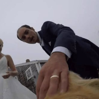 Una boda a vista de perro: mimos, paseos y muchas …
