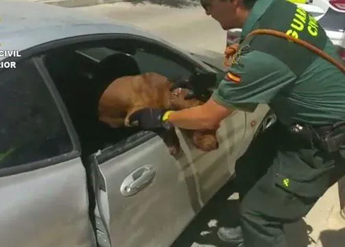 La Guardia Civil rescata de un coche a una perra a punto de morir por golpe de calor
