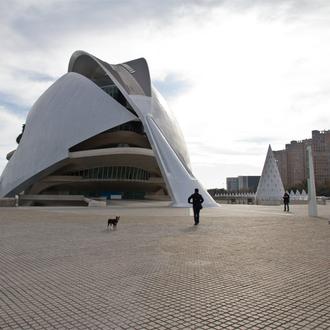 Paparazzi perruno en Valencia: retratos de canes en la ciudad …