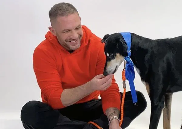 Las felicidades de Tom Hardy: el actor juega con dos perros en adopción mientras contesta las preguntas de sus fans