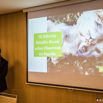 Radiografía de los animales domésticos en España: aumenta la compra …