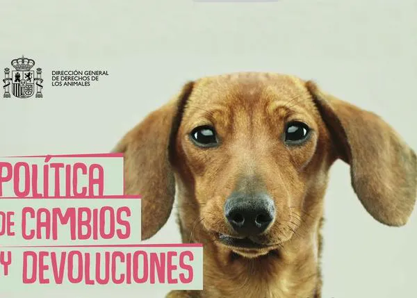 Con los animales, #NiCambiosNiDevoluciones: mensaje institucional contra el abandono de perros en España