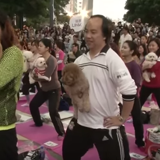 270 perros y sus dueños practican Doga juntos ¡y baten …