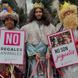 Los Reyes Magos también han pasado por Fundación Animal Rescue …