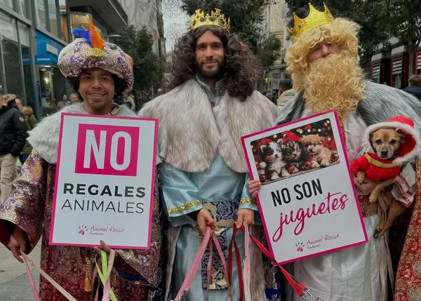 Los Reyes Magos también han pasado por Fundación Animal Rescue para dejar regalos y caricias a los perros