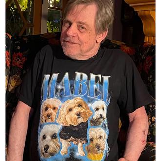 Los amores perros del actor Mark Hamill: felicidad, paz, buen …