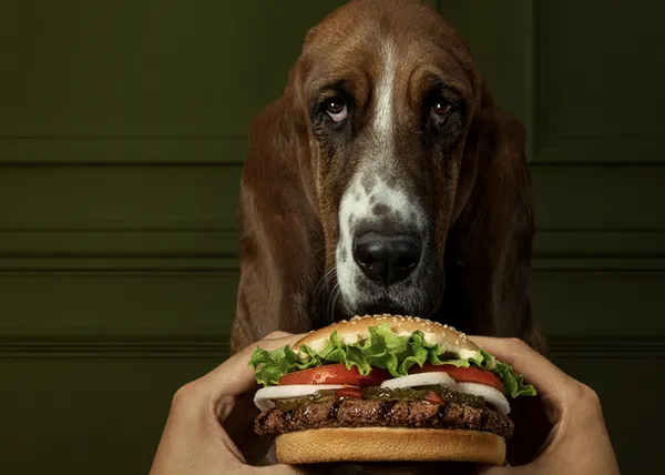 Burger King piensa (un poquito) en los humanos perrunos y sus perros