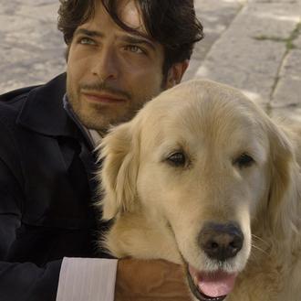 La historia de Italo, el can callejero adoptado por un …