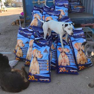 La enorme labor del Banco Solidario de Alimentos para Animales …