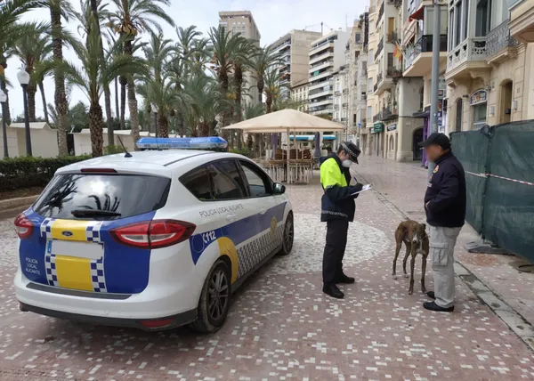 Gijón, Alicante, Burgos y otras localidades donde los Ayuntamientos han regulado estrictamente los paseos caninos