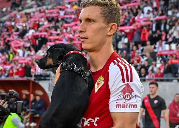 Algunos perros de Protectora Fido salen al campo del Real Murcia Club de Fútbol con la esperanza de encontrar un hogar