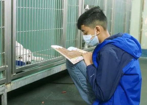 Un niño de 11 años cuya mayor felicidad es leer a perros en una perrera, premiado por la ASPCA