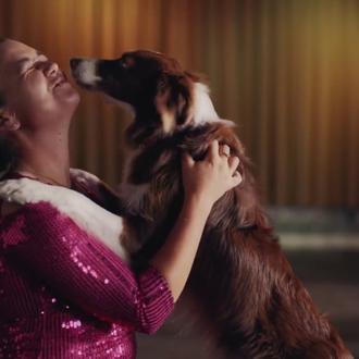 El amor es mágico: gran vídeo musical de muchos perros …