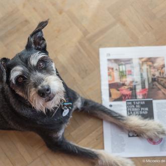De tapas con can en España: Colega, nuestros libros y …