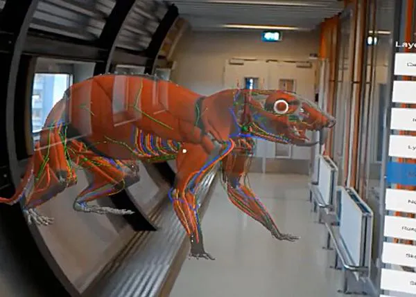 ¿Cómo reducir al máximo la experimentación en animales, incluyendo en perros? El (gran) ejemplo de la Universidad de Utrecht