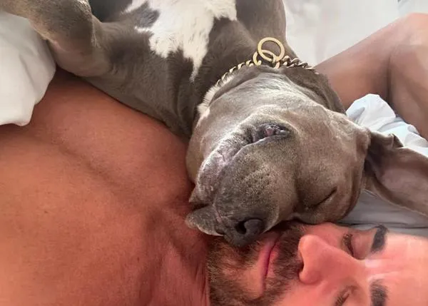 Justin Theroux celebra el aniversario de la llegada de su perra Kuma a su vida con un gran mensaje a favor de la adopción