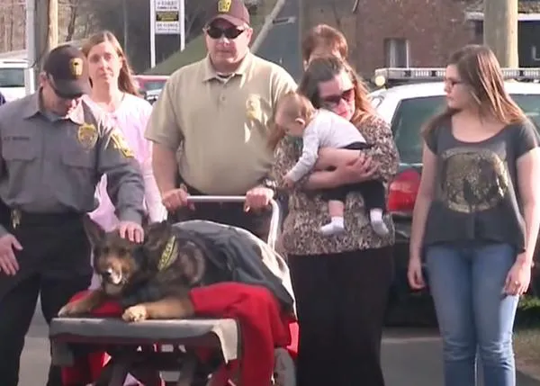 El último paseo de un perro policía, despedido con honores por su familia y toda su comunidad
