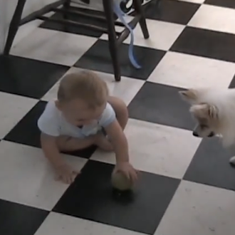 Dos amigos... un bebé y un perro jugando a la …